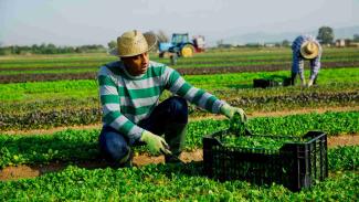 Beneficiary of ArgriSETA funding
